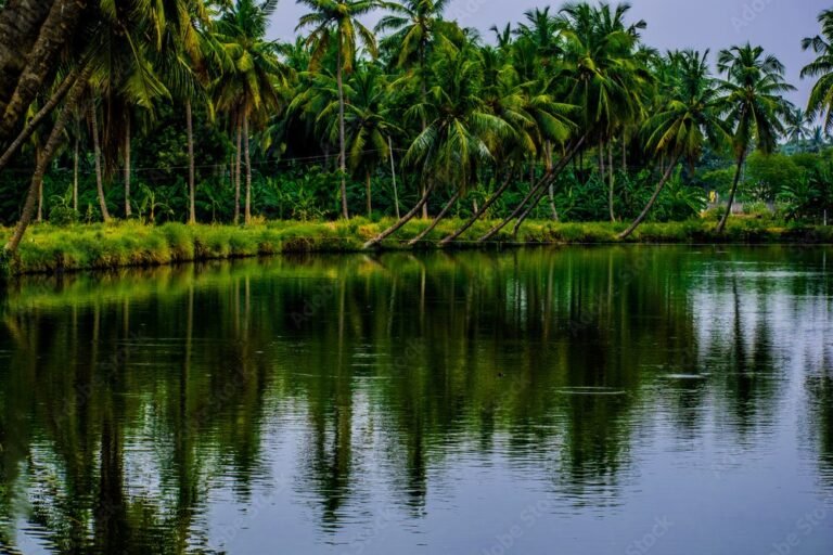 vijayawada to amalapuram cabs