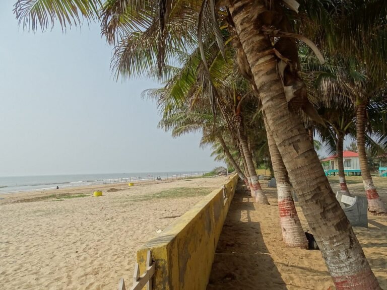 vijayawada to bapatla cabs