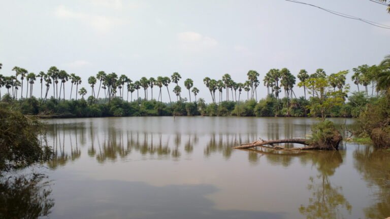 vijayawada to gudivada cabs