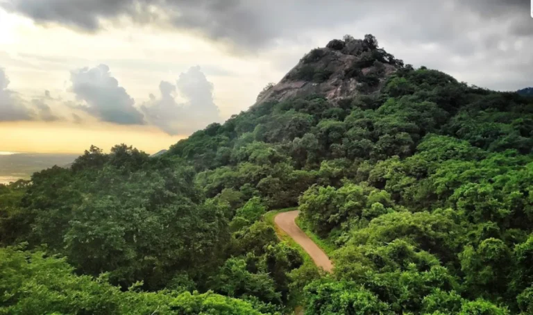 vijayawada to kondapalli cab