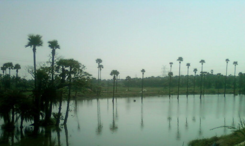Warangal to Uppal