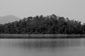 Warangal to Palwancha