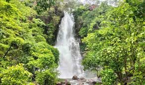 warangal to mulugu cabs